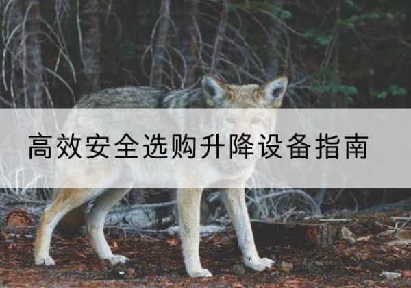 宁南升降货梯厂家推荐-*安全选购升降设备指南