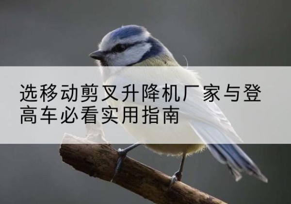 宁南电动升降机厂家-选移动剪叉升降机厂家与登高车必看实用指南